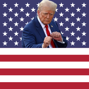 official Flag of Trumpland